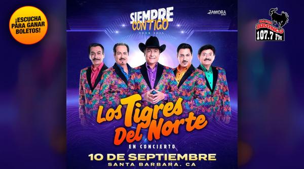 Promo Tigres
